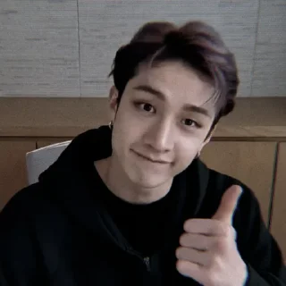🎳 emoji BANGCHAN'S V.3 🎳 ┼ @FVCK00PRIDE Telegram sticker 10 of 30