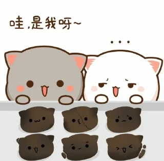 Sticker from @Stikergemoyyyook Chibi Cat