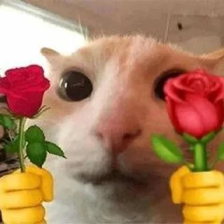 🥰 emoji 休太专属 Telegram sticker 9 of 120