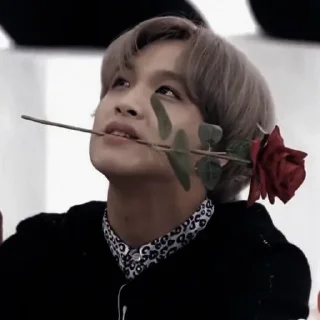 🛷 emoji 〃haechan — @secrethour ಌ Telegram sticker 16 of 50