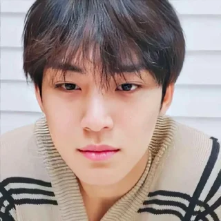 🔞 emoji San as Mingyu – @arkanjourneys Telegram sticker 23 of 48