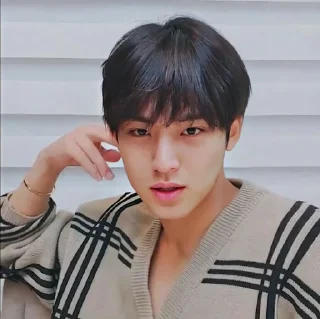 🔞 emoji San as Mingyu – @arkanjourneys Telegram sticker 22 of 48