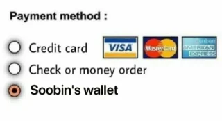 💳 emoji Bighit Artist's Wallet Telegram sticker 9 of 20