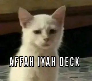 🤨 emoji Pemuda asu Telegram sticker 20 of 37
