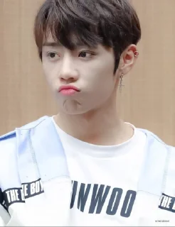🔥 emoji Rion's gan @Mylilwony Telegram sticker 8 of 25