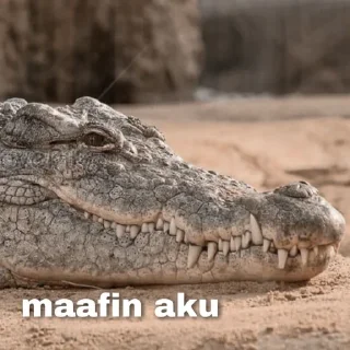 🐊 emoji Peliharaan Drexon - By @FVCK00PRIDE Telegram sticker 7 of 15