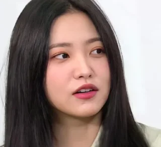 💗 emoji Kim yerim Telegram sticker 22 of 27