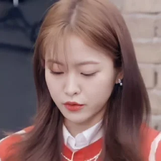💗 emoji Kim yerim Telegram sticker 8 of 27