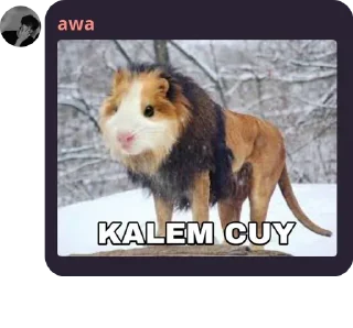 😭 emoji jamets Telegram sticker 12 of 71