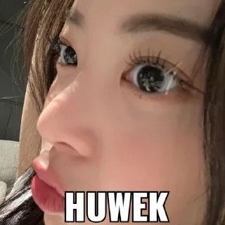 😅 emoji sean suka tzuyu Telegram sticker 18 of 39