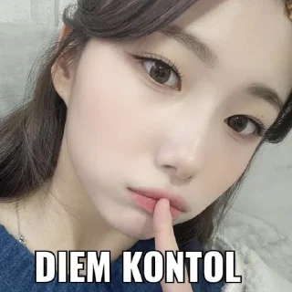 😋 emoji sean suka tzuyu Telegram sticker 22 of 39