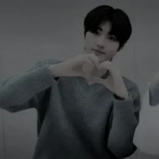 📸 emoji ‹ ャ ִֶָ  𝐏ark 𝐒unghoon : @STICKYPACKY Telegram sticker 17 of 50