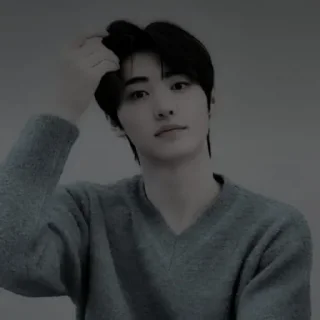 📸 emoji ‹ ャ ִֶָ  𝐏ark 𝐒unghoon : @STICKYPACKY Telegram sticker 22 of 50