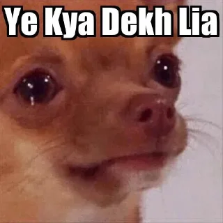 😂 emoji @Nikhil_1111 Vol.1 Telegram sticker 6 of 82