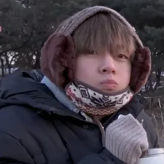 🐯 emoji ⌗、KIM TAEHYUNG — @ycurbaee ๑ Telegram sticker 10 of 29