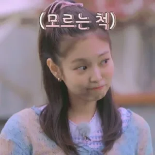 🌸 emoji ❁꫶ཻུ۪۪᭭⃟Jennie Kim ⃟ ཹ | @FVCK00PRIDE Telegram sticker 22 of 40