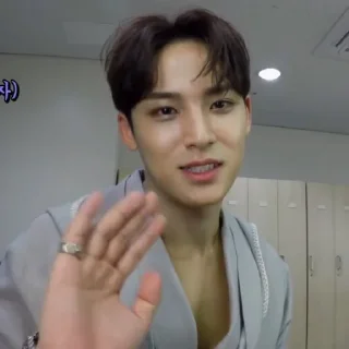 Sticker from Mingyu by┊@JCLYNKYU
