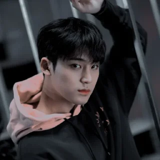 Sticker from mingyu by @disneyboba
