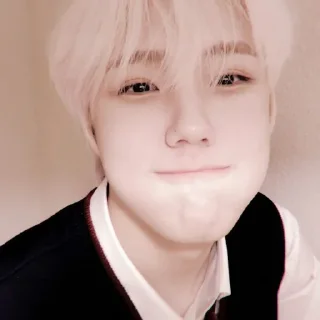 ☎️ emoji ︕ seongmin : @lilbebekuromi Telegram sticker 9 of 60