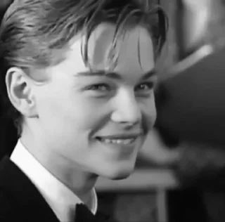 🖤 emoji Leonardo Dicaprio Telegram sticker 4 of 41