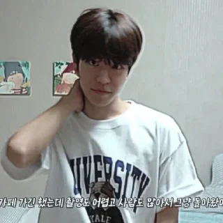🎲 emoji kim seungmin 🐶 @skzstiker Telegram sticker 21 of 80