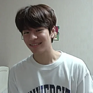 🎲 emoji kim seungmin 🐶 @skzstiker Telegram sticker 18 of 80