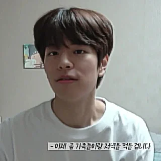 🎲 emoji kim seungmin 🐶 @skzstiker Telegram sticker 17 of 80