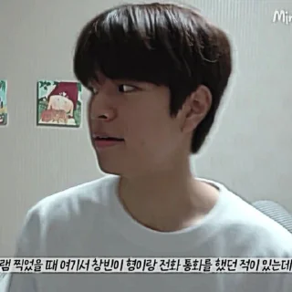 🎲 emoji kim seungmin 🐶 @skzstiker Telegram sticker 12 of 80