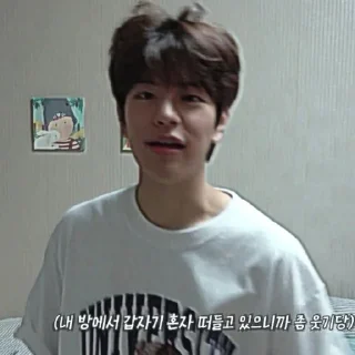 🎲 emoji kim seungmin 🐶 @skzstiker Telegram sticker 20 of 80