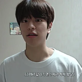 🎲 emoji kim seungmin 🐶 @skzstiker Telegram sticker 7 of 80