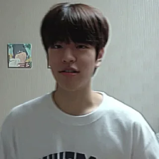 🎲 emoji kim seungmin 🐶 @skzstiker Telegram sticker 14 of 80
