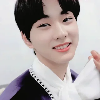 🍚 emoji jungwon Telegram sticker 18 of 65