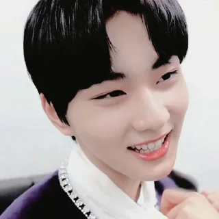 🍚 emoji jungwon Telegram sticker 19 of 65
