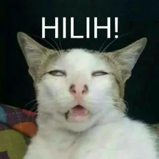😼 emoji kucing kesayangan Telegram sticker 8 of 91