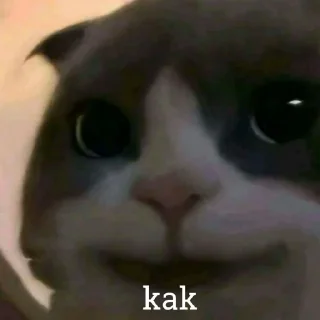 Sticker from Kucing kesayangan kita <3 @lpmtetet