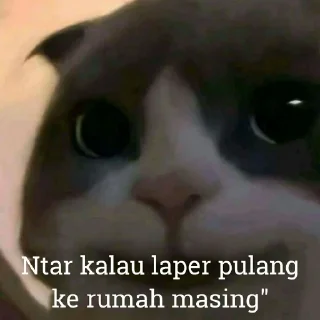 😺 emoji Kucing kesayangan kita <3 @lpmtetet Telegram sticker 5 of 50