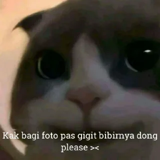 😺 emoji Kucing kesayangan kita <3 @lpmtetet Telegram sticker 14 of 50