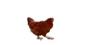 🐓 emoji 动态包 3D  vol.1 @tsugumi42 Telegram sticker 23 of 120
