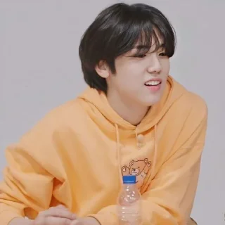 😓 emoji Seongmin Telegram sticker 17 of 46