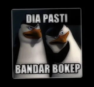 Sticker from Peguin bokep