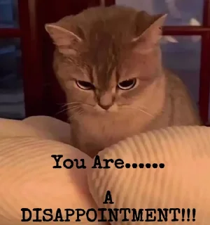 Sticker from Angry Cat