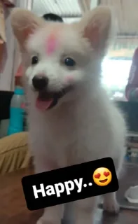 😍 emoji Aishyy's Stuffs Telegram sticker 10 of 19