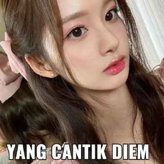 🫶 emoji sean suka tzuyu Telegram sticker 15 of 39