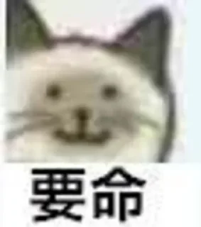 Sticker from 品蒜叉烧包