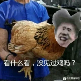 Sticker from 鸡出没