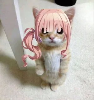 🐱 emoji Chizue Telegram sticker 6 of 65
