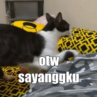 🏃‍♀ emoji apaan tuh Telegram sticker 6 of 23