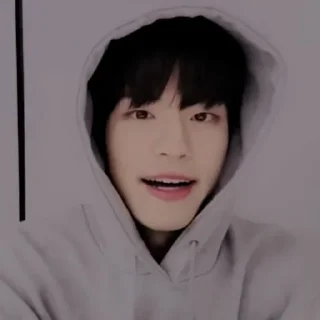 🌁 emoji ⿻ྀ⃕  KIM SEUNGMIN . @FVCK00PRIDE Telegram sticker 10 of 35