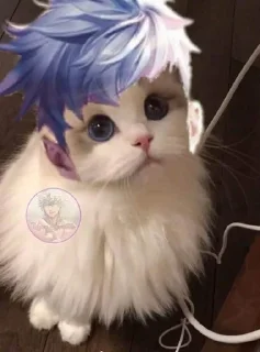 Sticker from Kucing AOV