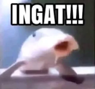 Sticker from Meme jahe